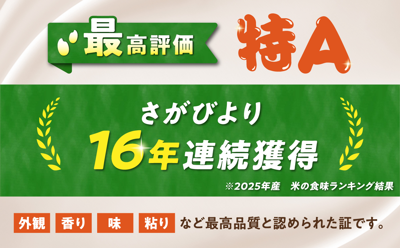無洗米 さがびより 20kg（5kg×4袋） 無洗米 お米 白米 精米 佐賀県産 米 /大塚米穀店 [UFE009]