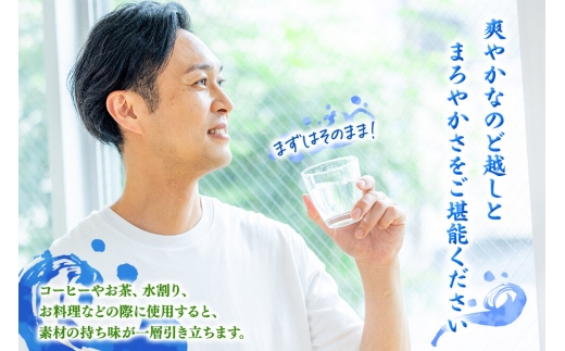 《定期便4ヶ月》 ミネラルウォーター 奥入瀬源流水 500ml×24本 青森県十和田市 [天然水 500ml 備蓄用水 定期便]