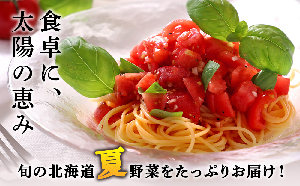 【2026年夏発送】秋山農園のおすすめ夏野菜セット5kg 5種 野菜詰め合わせ
