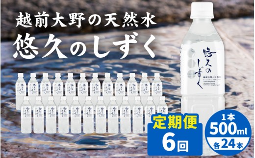 【6ヶ月連続お届け】越前大野の天然水　悠久のしずく PET500ml × 24本×6回配送　計144本 | 定期便 飲料類 水 ミネラルウォーター 定期便 ふくいのおいしい水 南部酒造場 御清水 名水百選 防災 備蓄 国産