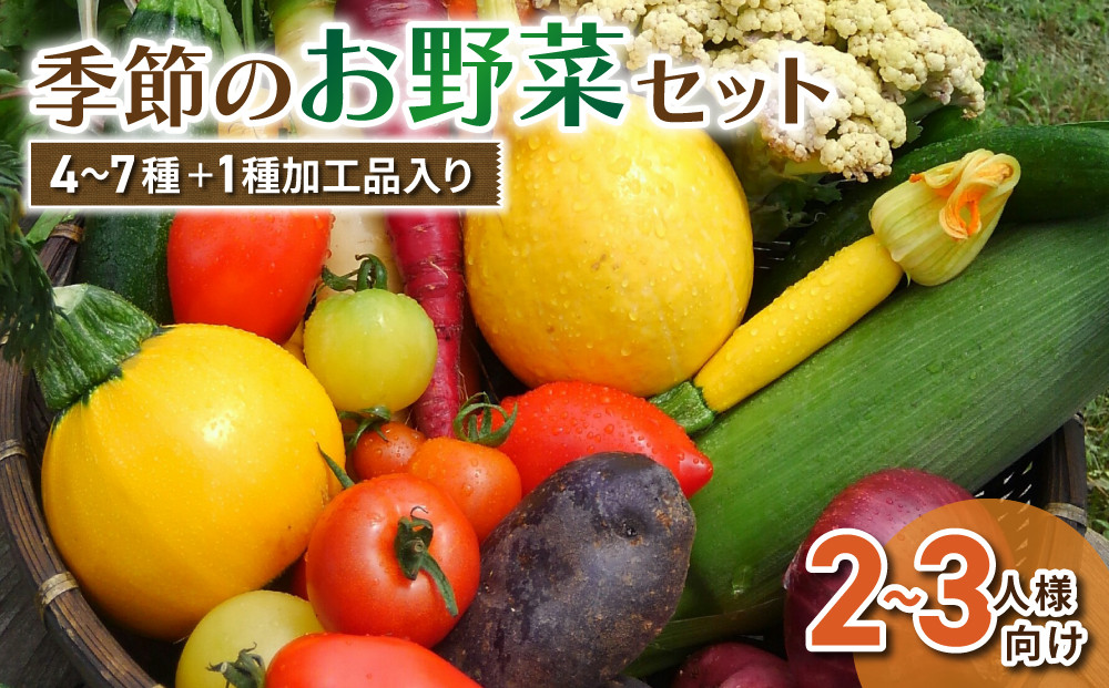 
【アグロノーム】季節のお野菜と加工品セット（２〜３人様向け）
