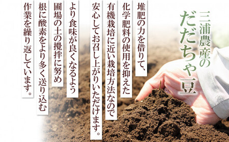 【令和8年産先行予約】 山形県鶴岡産 だだちゃ豆　約1.5kg（500g×3袋）　三浦農産