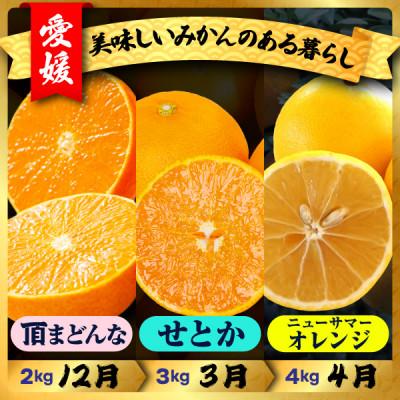 ふるさと納税 八幡浜市 【発送月固定定期便】美味しい柑橘【まどんな・せとか・ニューサマーオレンジ】【G31-45】全3回 |  | 01