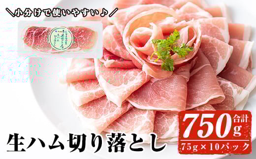＜2025年8月中に発送予定＞国産豚生ハム切り落とし75g×10P(計750g) 生ハム おつまみ 小分け 【ナンチク】A302-08-v01