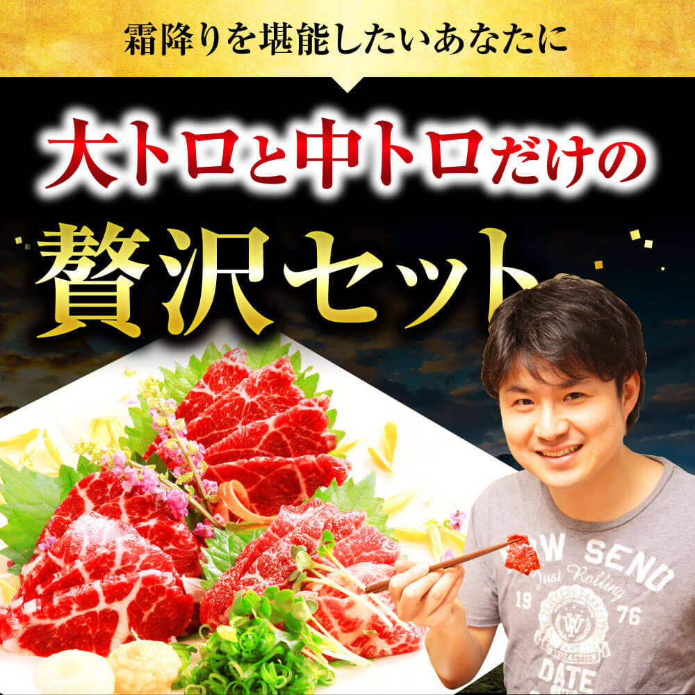 国産 熊本馬刺し 2種の霜降り 贅沢食べ比べセット 合計500g 大トロ 中トロ 馬肉