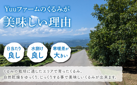 2026年産 長野県東御市産 殻付き信濃くるみ 1kg（品種 清香 500g、東晃 500g）※2026年11月以降発送