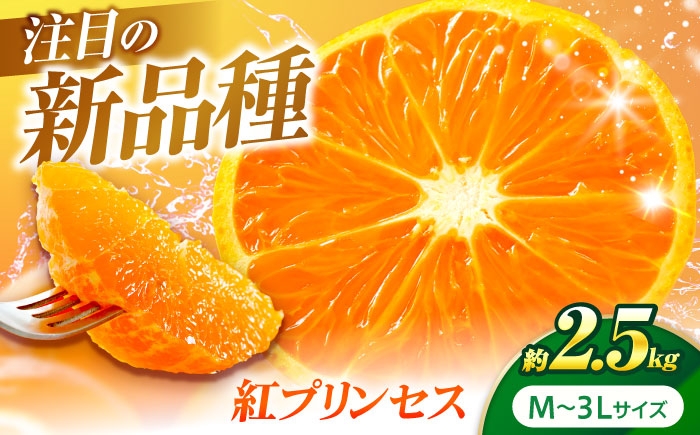 
                  紅プリンセス 愛果48号 2.5kg M-3Lサイズ【3月中旬から3月下旬まで順次発送 】 / フルーツ 果物 蜜柑 ミカン オレンジ 甘い 先行予約 約 3kg 愛媛 紅プリンセス ゼリー食感 シャキシャキ 濃厚 高糖度 高級柑橘 お取り寄せ 贈答 フルーツギフト 柑橘詰め合わせ 完熟 旬の味覚 プレゼント ギフト 人気 おすすめ / 愛媛県砥部町/株式会社フジ・アグリフーズ [BJBI002]
                