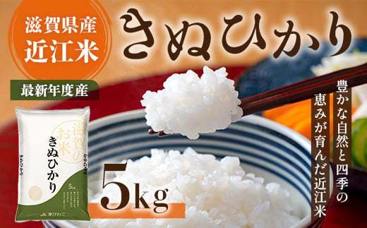 近江米　きぬひかり　白米５㎏ 令和6年産 BD01