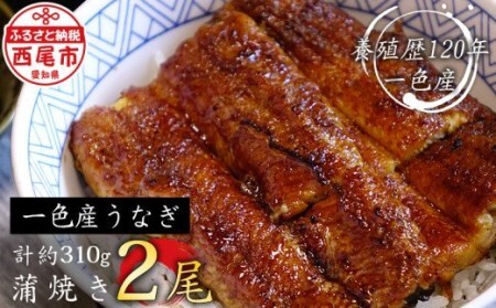 【二の丑までにお届け】一色産うなぎ　炭焼き蒲焼2尾　職人手焼き 鰻 ウナギ うなぎ 蒲焼 国産 うなぎ蒲焼 タレ付き たれ 国産うなぎ 蒲焼き うな丼 丑の日 土用の丑の日・I034-18