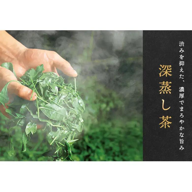 宇治深蒸し煎茶「松の匠」1kg（250g×4本）〈煎茶 緑茶 深蒸し