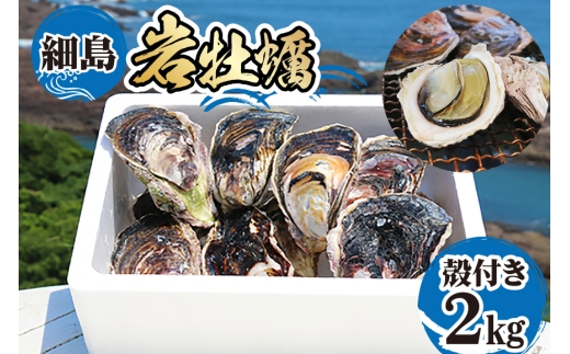 【期間限定発送】牡蠣 岩牡蠣 殻付き 細島 岩ガキ 約 2kg [日向サンパーク 宮崎県 日向市 452061757] かき カキ 岩牡蠣 岩がき 貝 海鮮 魚介 魚介類 冷蔵 新鮮 ふるさと納税 濃厚 クリーミー BBQ 焼き牡蠣 蒸し牡蠣 ほそしま 日豊海岸