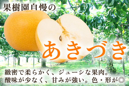 【2026年先行予約】【厳選】新潟県産 和梨 あきづき 5kg（10〜18玉）《9月上旬以降発送》 和梨 なし ナシ 果物 フルーツ 加茂市 いたみ果樹園