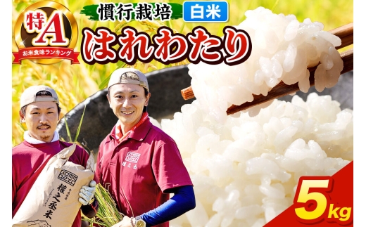 米 はれわたり 5kg［白米］特A 慣行栽培 青森県産 令和7年産 [お米 東北 精米 青森県 弘前市 白米 ブランド米]