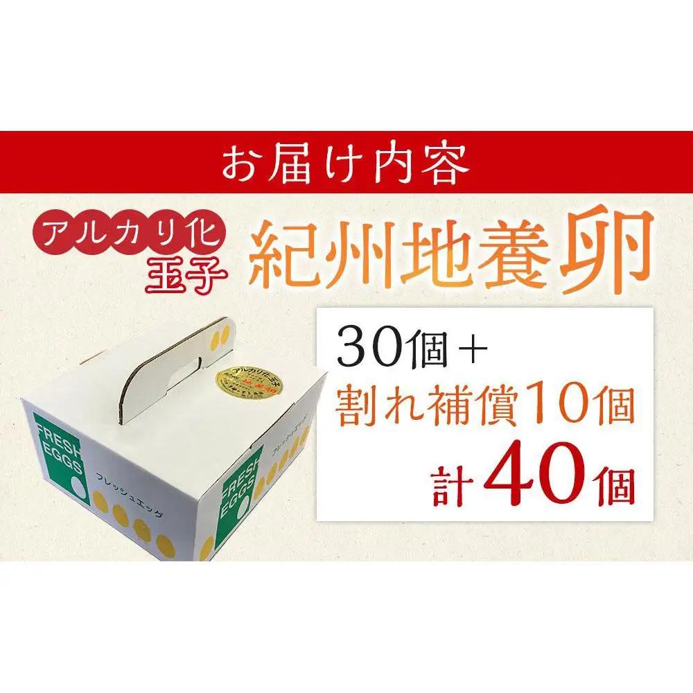 アルカリ化 玉子 紀州地養卵 合計 40個入 (30個＋割れ補償分10個）卵 たまご 玉子 タマゴ 鶏卵 まとめ買い オムレツ 卵かけご飯 朝食 業務用
