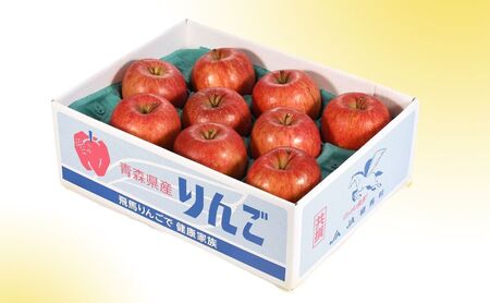 りんご 【11月～12月発送】 蜜入り サンふじ （ みつまるくん ）約 2.5kg 糖度13度以上 【 弘前市産 青森りんご 】