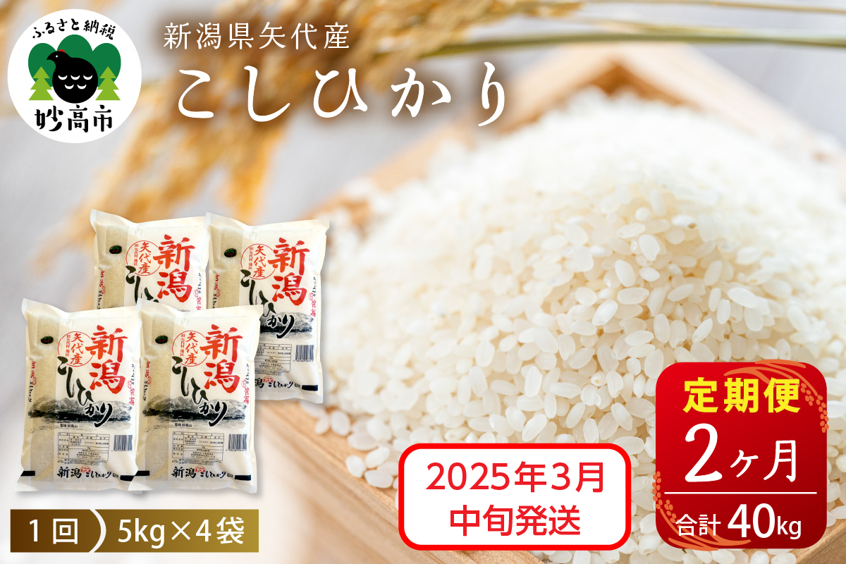 【2025年3月中旬発送】【定期便】令和6年産 新潟県矢代産コシヒカリ20kg(5kg×4袋)×2回（計40kg）