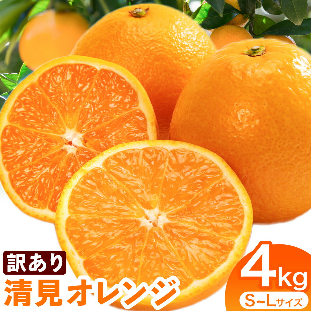 【ふるさと納税】訳あり 清見オレンジ サイズ混合 約4kg《2026年2月中旬-4月下旬頃出荷》竹本農園 和歌山県 日高川町 清見 オレンジ 旬 新鮮 果物 柑橘 フルーツ 国産 ミカン みかん 送料無料