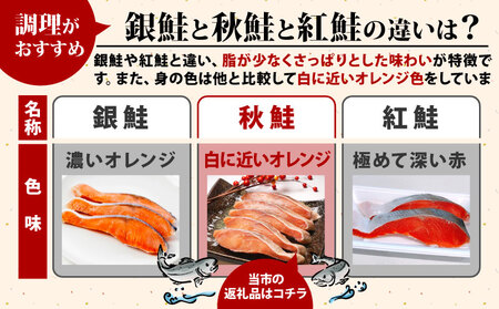 訳あり 国産 秋鮭 切り身 約2.5kg 冷凍 人気 さけ サケ 魚 海鮮 おかず シャケ おつまみ 弁当 塩 鮭 千葉 銚子 辻野 国産 北海道産 純国産訳あり 北海道訳あり 塩秋鮭訳あり 鮭訳あり