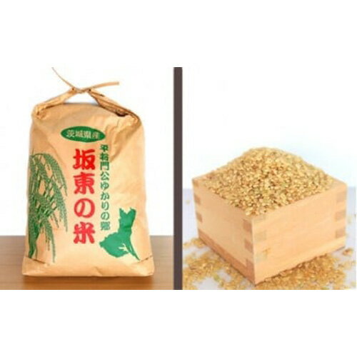 【ふるさと納税】【令和7年産】茨城県坂東産　コシヒカリ20kg（玄米） ／ 令和7年 新米 玄米 米 お米 こめ コメ こしひかり 20kg 20キロ 大人気 旨み 粘り ガッツリ おいしい ライス ご飯 お弁当 お取り寄せ 産地直送 産直 坂東市産 茨城県産 茨城県 特産品 送料無料 No.177
