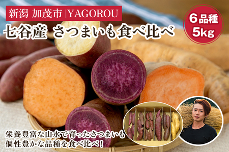 【2024年先行予約】【新潟県加茂市七谷産】6種食べ比べセット5kg（M〜LLサイズ）さつまいも《11月下旬〜順次発送》人気品種 食べ比べ 濃厚な甘み 低温熟成  蒸し芋や焼き芋、スイートポテトなどの