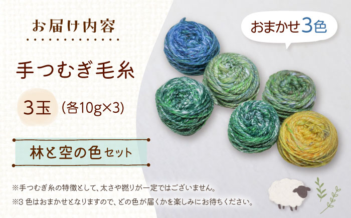 手つむぎ毛糸 ミニマフラー 製作キット 林と空の色セット《厚真町》【tenna+】手つむぎ 手紡ぎ 手紡ぎ毛糸 毛糸 ウール 羊毛 手芸 手づくり ハンドメイド 北海道 [AXAY002]