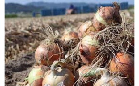 淡路島玉ねぎ とれたて完熟!! 新玉ちゃん 5kg　◆配送5月上旬～6月上旬