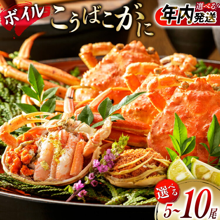 【ふるさと納税】【能登半島 漁協直送!】年内発送 香箱ガニ ボイル済 5〜10尾 [JF西海 石川県 志賀町 sk17jkf30074] 香箱 ズワイ ずわい 蟹 カニ かに ズワイガニ セコガニ メス 内子 カニ味噌