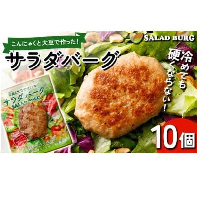 ふるさと納税 下仁田町 【原料は100%植物由来】こんにゃくと大豆で作ったサラダバーグ90g×10個 【ビーガン対応】