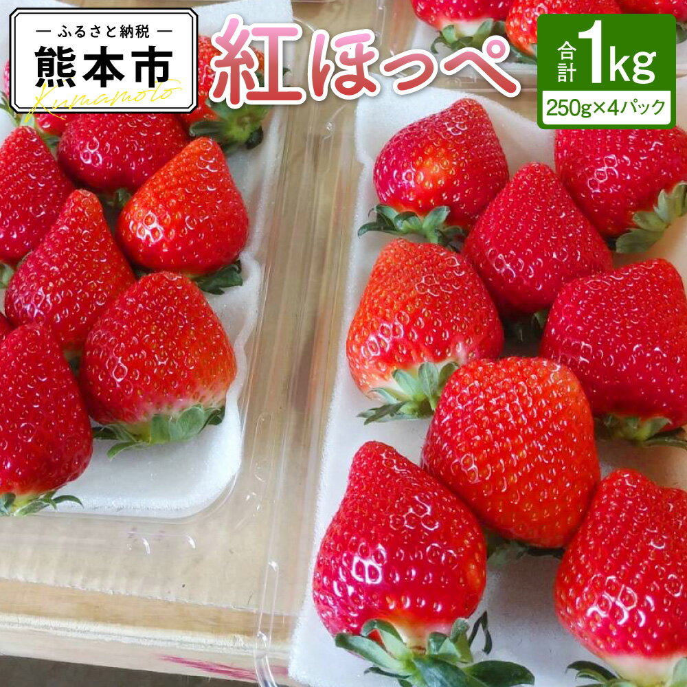 【ふるさと納税】 絢音ベリー 農園 紅ほっぺ いちご 1kg （250g×4パック） くだもの 果物 苺 イチゴ おやつ 熊本県 高級 フルーツ ギフト 厳選 希少 熊本県産 国産 送料無料 【先行予約】【2025年12月上旬～2026年2月下旬迄発送予定】