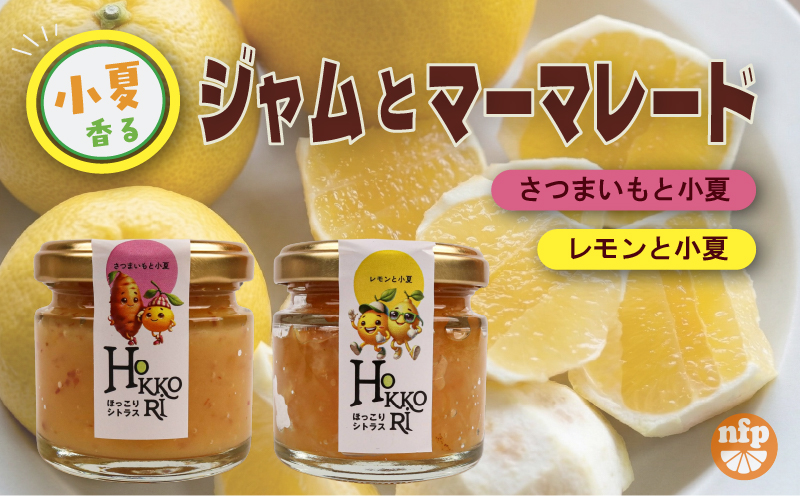 ジャム マーマレード セット ほっこりシトラスギフト | さつまいも 小夏 レモン 柑橘 ヨーグルト パン ギフト 贈答用 芋 サツマイモ イモ いも 長期保存 南国市