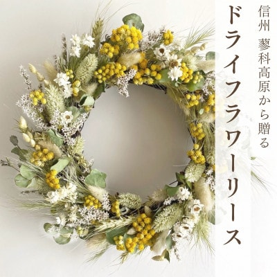 信州八ヶ岳の麓から贈るドライフラワーリースM(グリーン)【1658067】