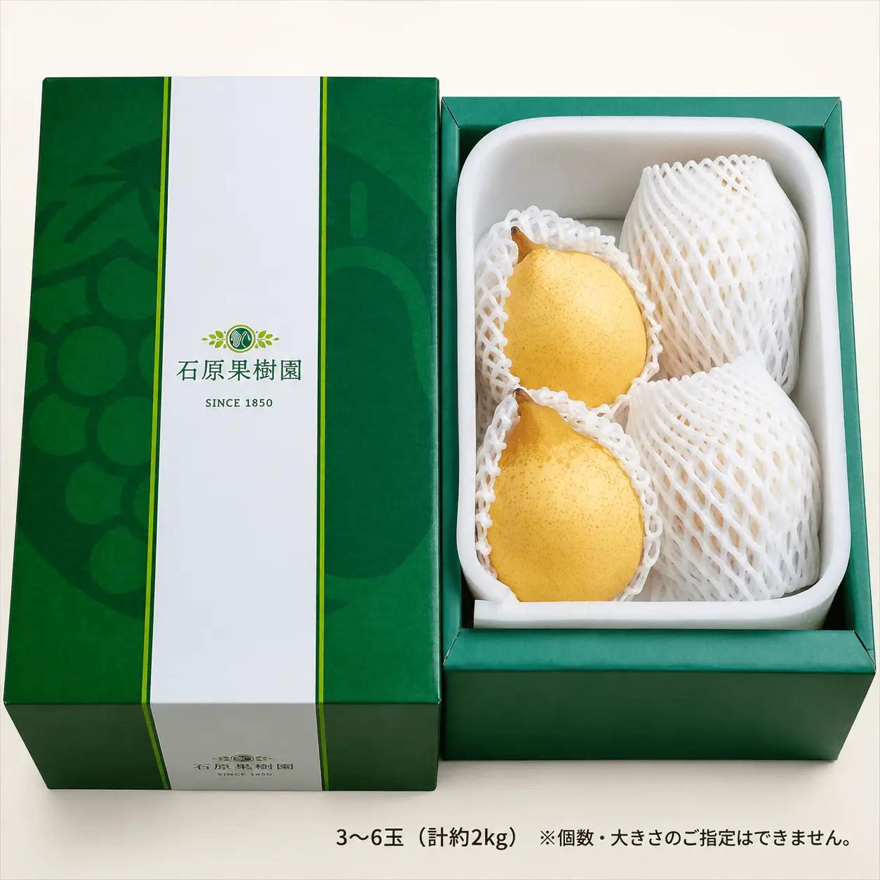 梨 ヤーリー梨 鴨梨 3～6玉 2kg 贈答箱 岡山県産 【ishk015-01】