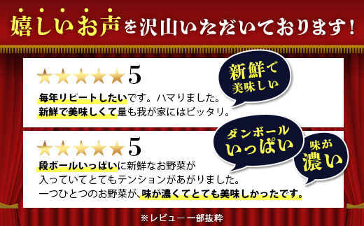 E-72 【６ヶ月お届け】野菜 旬のおまかせ野菜BOX 8~10品目 | ふるさと納税 野菜 定期便 定期 やさい 野菜セット 詰め合わせ 旬 新鮮 産地直送 大容量 ふるさと 佐賀県 鹿島市 安全安