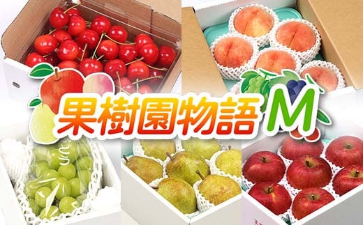 《先行予約 2025年度発送》果樹園物語M ≪果物 5回定期便≫ FSY-1861