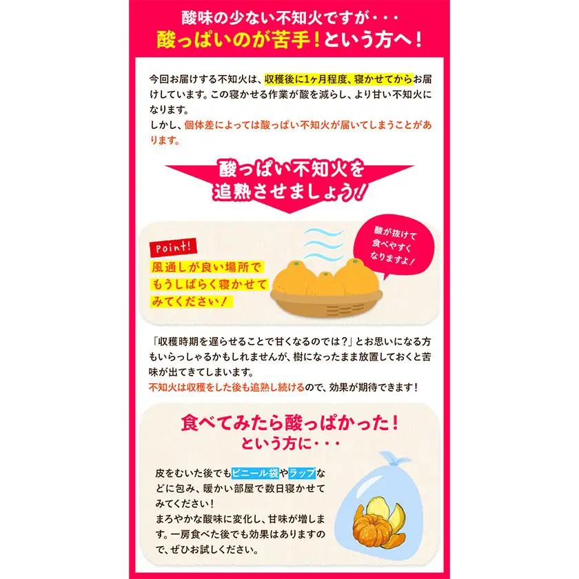 ご家庭用 不知火 約800g 