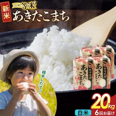 ふるさと納税 大仙市 定期6ヶ月 白米 あきたこまち 一等米 20kg 秋田県 R8年|22_kml-012006s