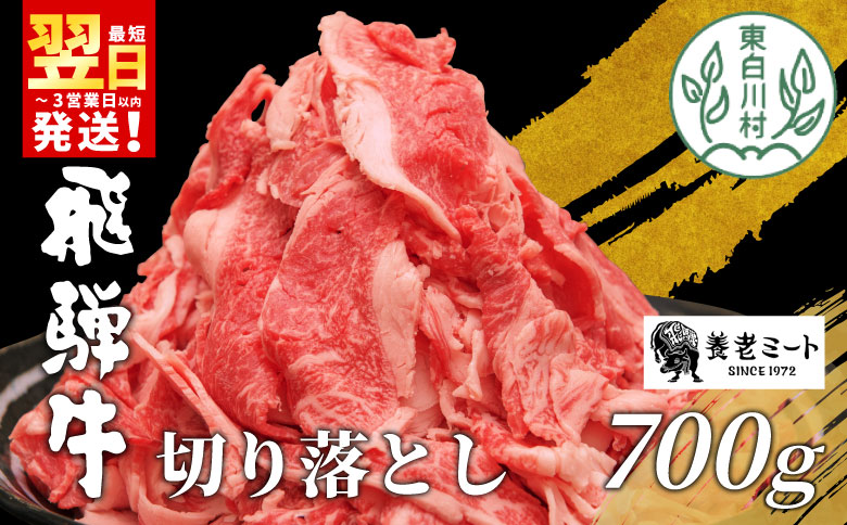 飛騨牛 切り落とし 700g  牛肉 和牛 肉 お肉 切落し 不揃い にく 切り落し 東白川村 ブランド牛 国産 人気 おすすめ 薄切り きりおとし 岐阜 すき焼き お取り寄せ 冷凍 養老ミート