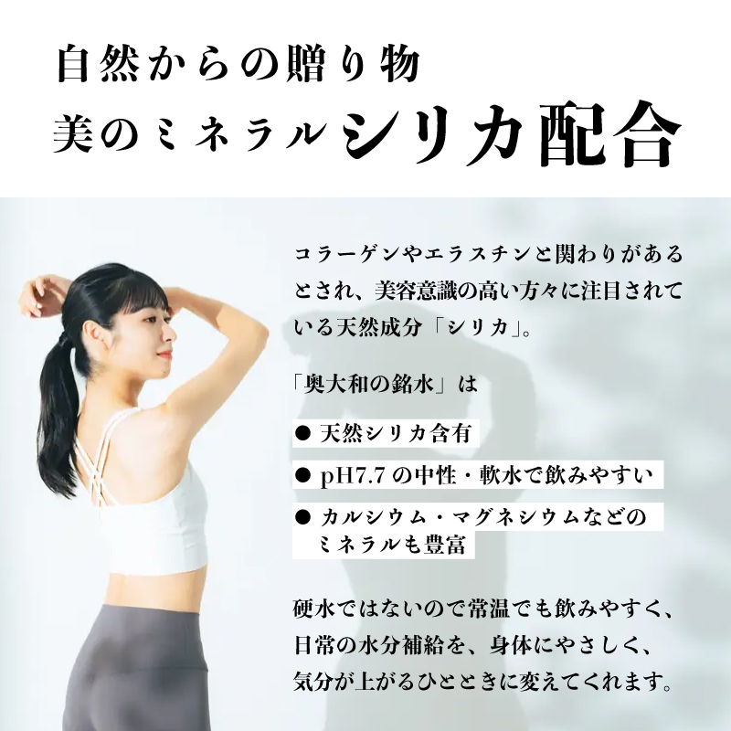 水 ミネラルウォーター【定期便3ヶ月】奥大和の銘水『500ml×48本（1箱24本入り×2箱）×3ヶ月』 シリカ水 軟水 賞味期限2年 長期間保存可能 天然水 飲料水 みず ミネラル 美容 備蓄 防災