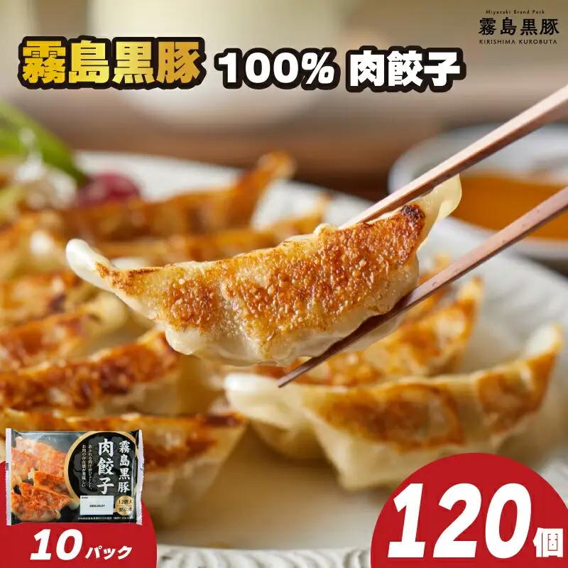 霧島黒豚餃子 120個 冷凍 小分け 餃子 IR 