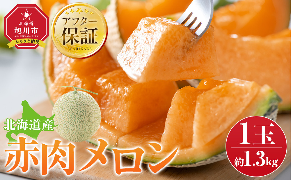 【26年発送先行予約】北海道産赤肉メロン約1.3kg×1玉 (2026年7月中旬から発送開始予定)【 果物 くだもの フルーツ メロン 赤肉 赤肉メロン めろん meron melon 国産 デザート 産地直送 旬 お取り寄せ 甘い 北海道産 旭川市 北海道 】_05228