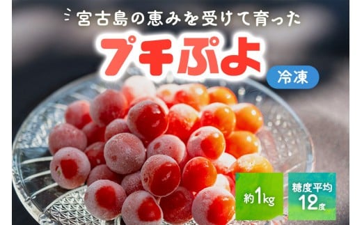 宮古島産ミニトマト【プチぷよ】冷凍　1kg（PN04）