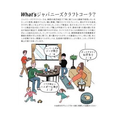 ふるさと納税 静岡市 ジャパニーズクラフトコーラ　ベルガモットフレーバー |  | 02