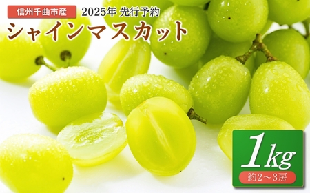 シャインマスカット 1kg(2~3房) ｜ シャインマスカット