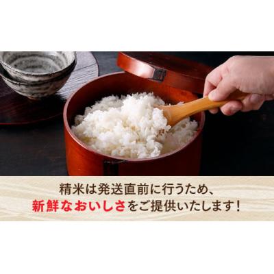 ふるさと納税 新宮町 立花山で育てた九州のブランド米・7キロ.B409 |  | 02