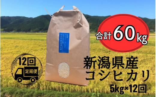 先行予約 令和7年産 新米 【 定期便 12ヶ月 】 米 5kg × 12回 五泉産 コシヒカリ | 白米 精米 こしひかり お米 おこめ コメ こめ おすすめ 人気 新潟県 五泉市 株式会社蛇場農産