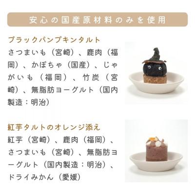 ふるさと納税 筑前町 【MyBESTiee】愛犬用タルト2個セット ブラックパンプキン&紅芋タルトのオレンジ添え20269 |  | 01