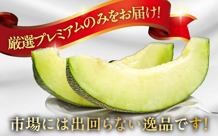 グリーンメロン 1玉 / メロン めろん フルーツ 果物 / 南島原市 / うえだメロン園[SAD006]