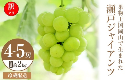 瀬戸ジャイアンツ ぶどう 訳あり 岡山県産 瀬戸ジャイアンツ【4～5房 約2kg】【冷蔵・先行予約】