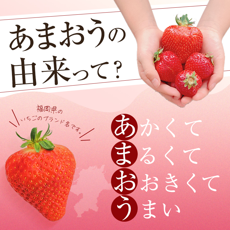 冷凍あまおう (計1kg) いちご イチゴ 苺 あまおう 冷凍いちご 冷凍イチゴ 国産 福岡県 特別栽培 果物 フルーツ アイス ジャム 冷凍フルーツ ＜離島配送不可＞【ksg1785】【うるう農園】