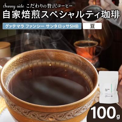 ふるさと納税 小牧市 スペシャルティ珈琲 グァテマラ ファンシー サンタロッサSHB 豆100g[137S17-01]